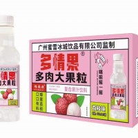 多情果多肉大果粒荔枝味450mlx15瓶